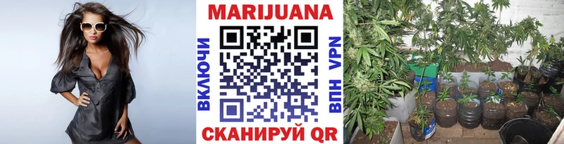 купить Нолинск Канабис марихуана